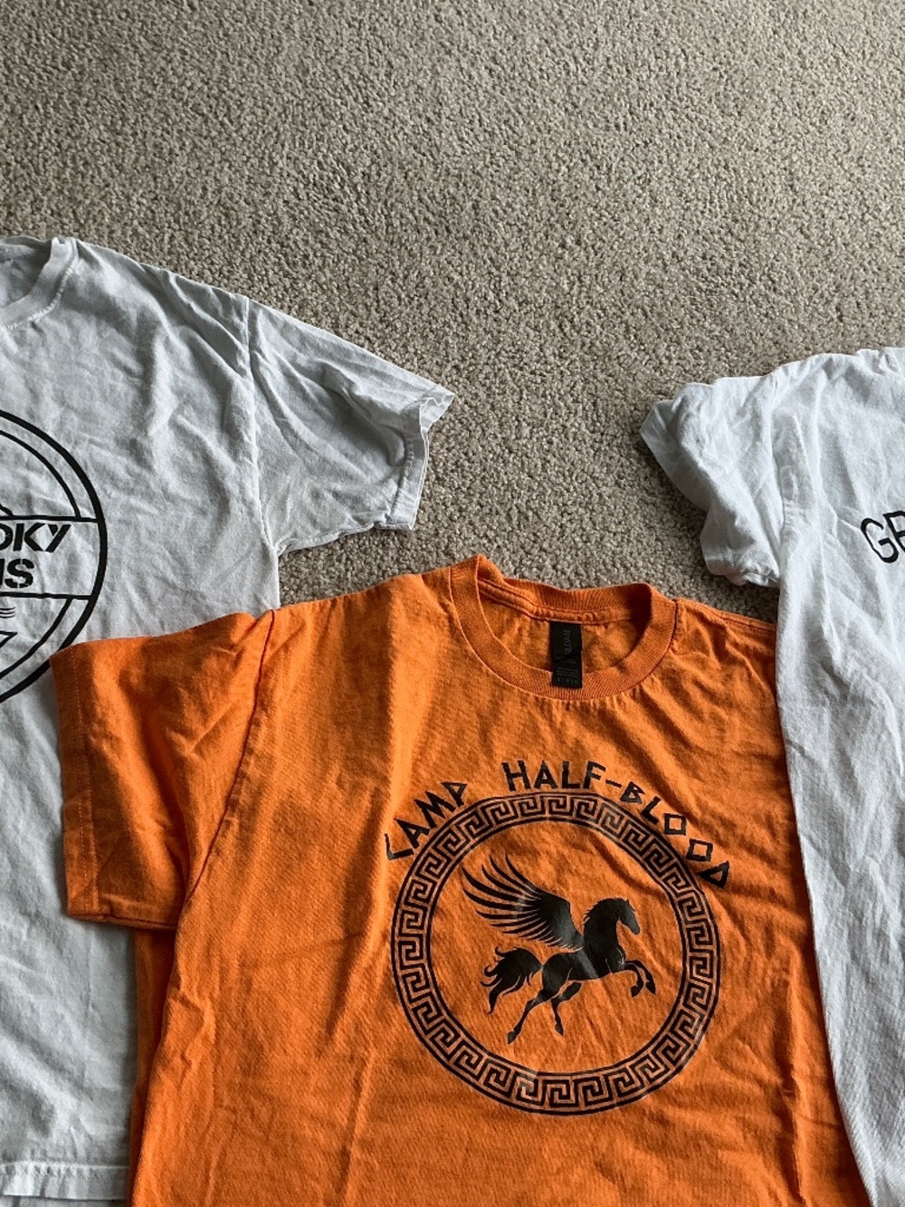 3 Men’s Small Graphic T-Shirts Lot | Smoky Mountains Camp Half-Blood